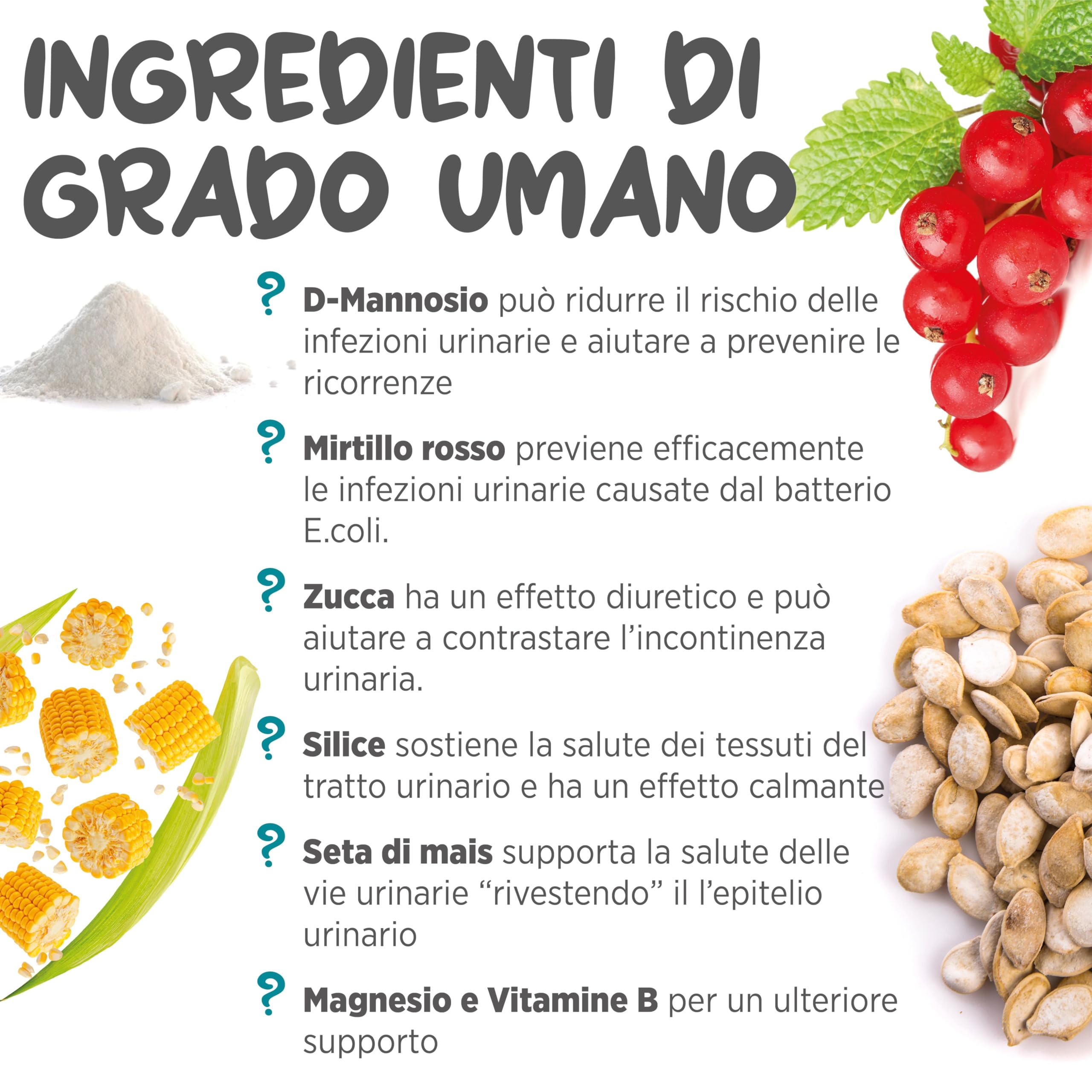maxxipaws maxxiUtract Benessere Urinario e della Vescica - Integratore in Polvere per Gatti, 90g
