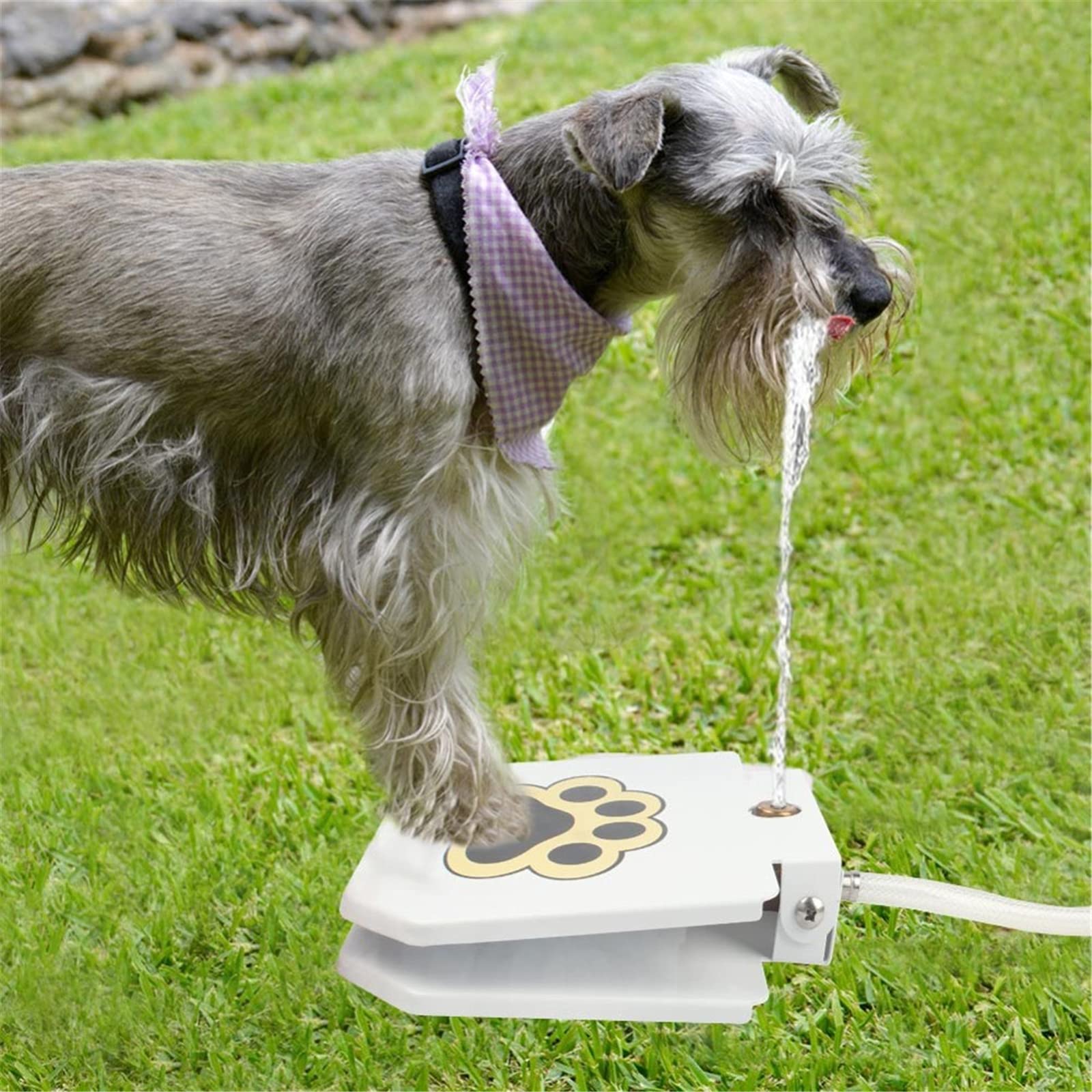 Vibrant Life Pet Dog Water Fountain Water Spray Dog Toy Foot Pedal