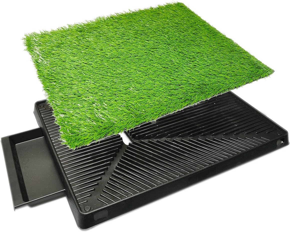 Downtown Pet Supply Dog Potty Pad - Puppy & Dog Housebreaking Supplies - Super Potty Trainer System with Soft Turf Grass and Plastic Drawer & Wall - Dog Pee Pads Holder - 20 in x 25 in : Pet Supplies