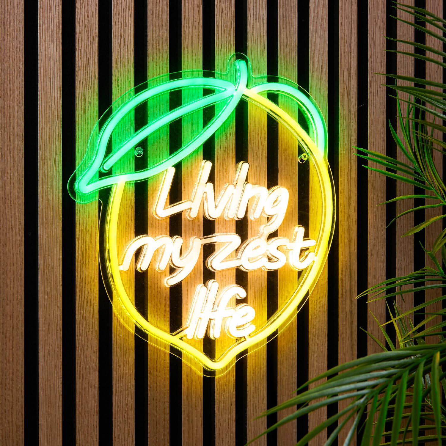 wilko Living My Zest Life Outdoor Neon Light, Multicolour, Aluminium, 37 x 32.5 cm, 500g, 250 LEDs