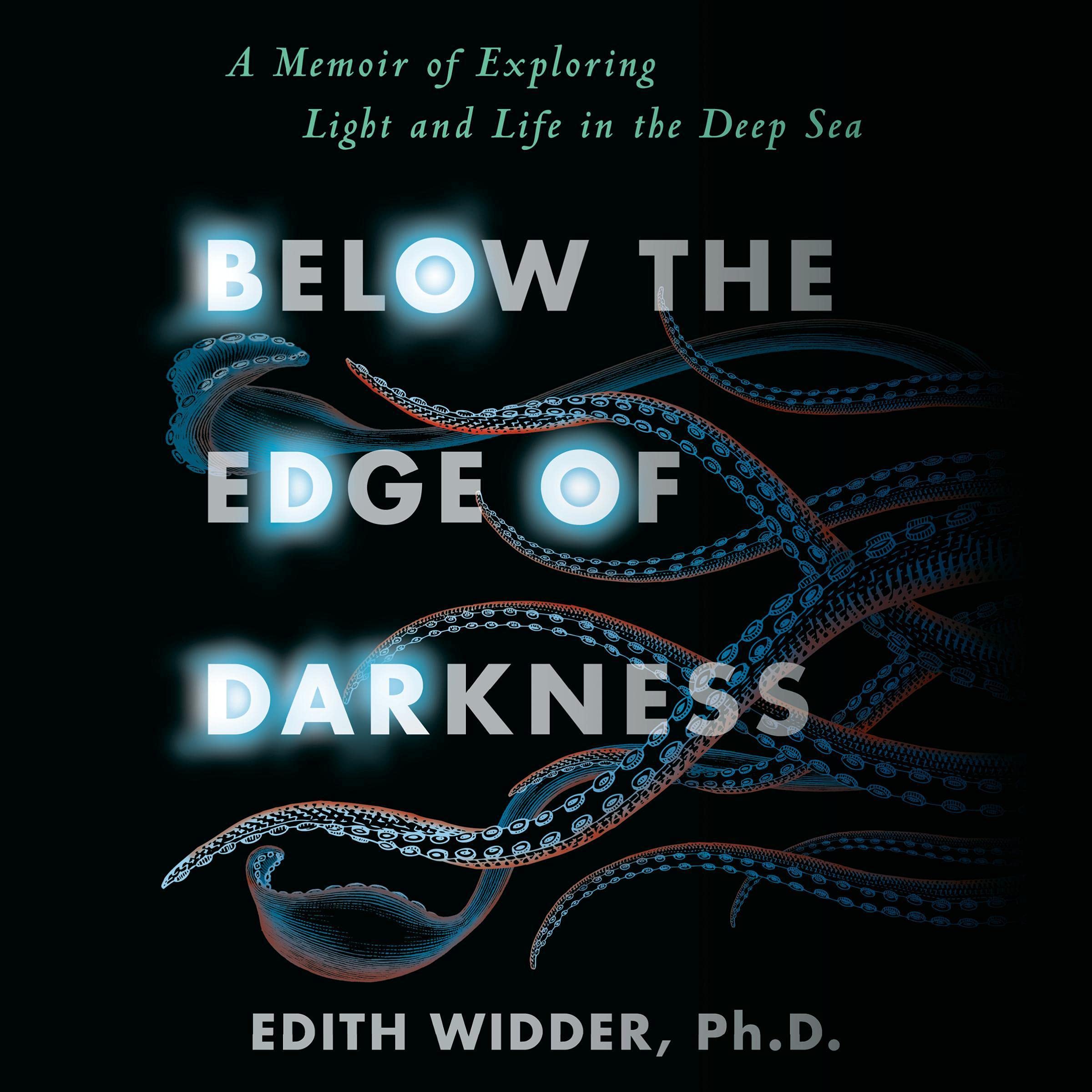 Cover art for Below the Edge of Darkness