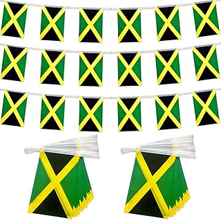 TSMD 2 Packs Jamaica Flag Banner Jamaican Flags String Small Mini Hanging Flags Decorations,60 Feet 40 Flags