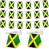 TSMD 2 Packs Jamaica Flag Banner Jamaican Flags String Small Mini Hanging Flags Decorations,60 Feet 40 Flags