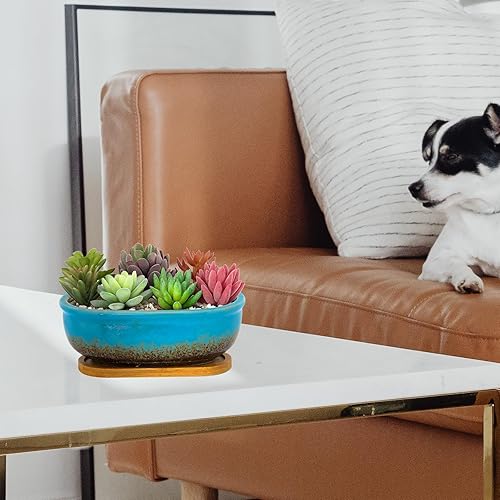 Miniatura 5 de Macetas para suculentas, macetas rectangulares de 7.9 pulgadas de largo con bandeja de drenaje, macetas poco profundas para plantas de interior,
