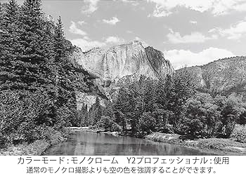 その他 Canon EF-S10-22F3.5-4.5 USM 81bsrQYZUML._UF350,350_QL80_.jpg