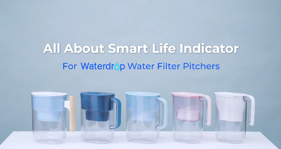 Amazon.com: Waterdrop Alkaline Lucid 10-Cup Large Water