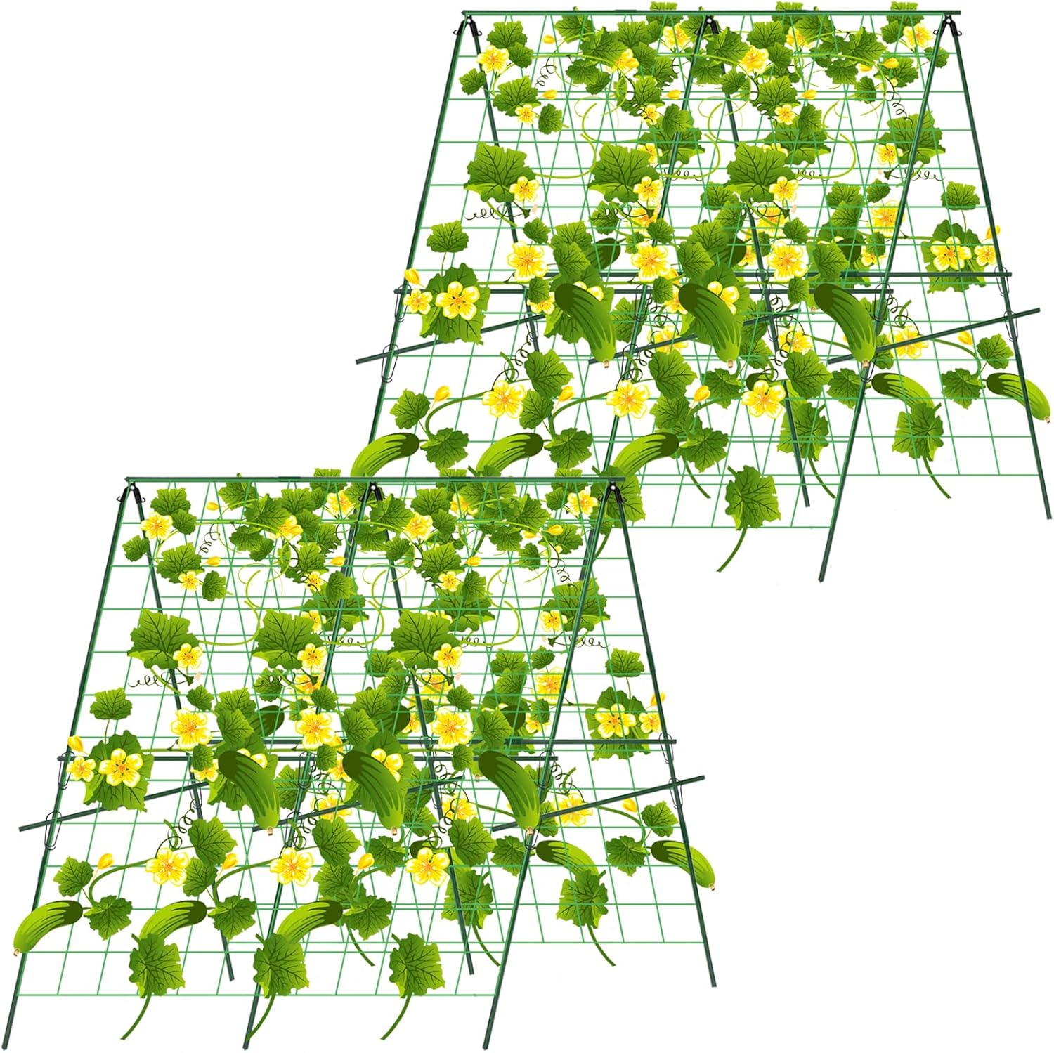 Hoyejyou 2Sets 48 x 48Inch Foldable AFrame Cucumber