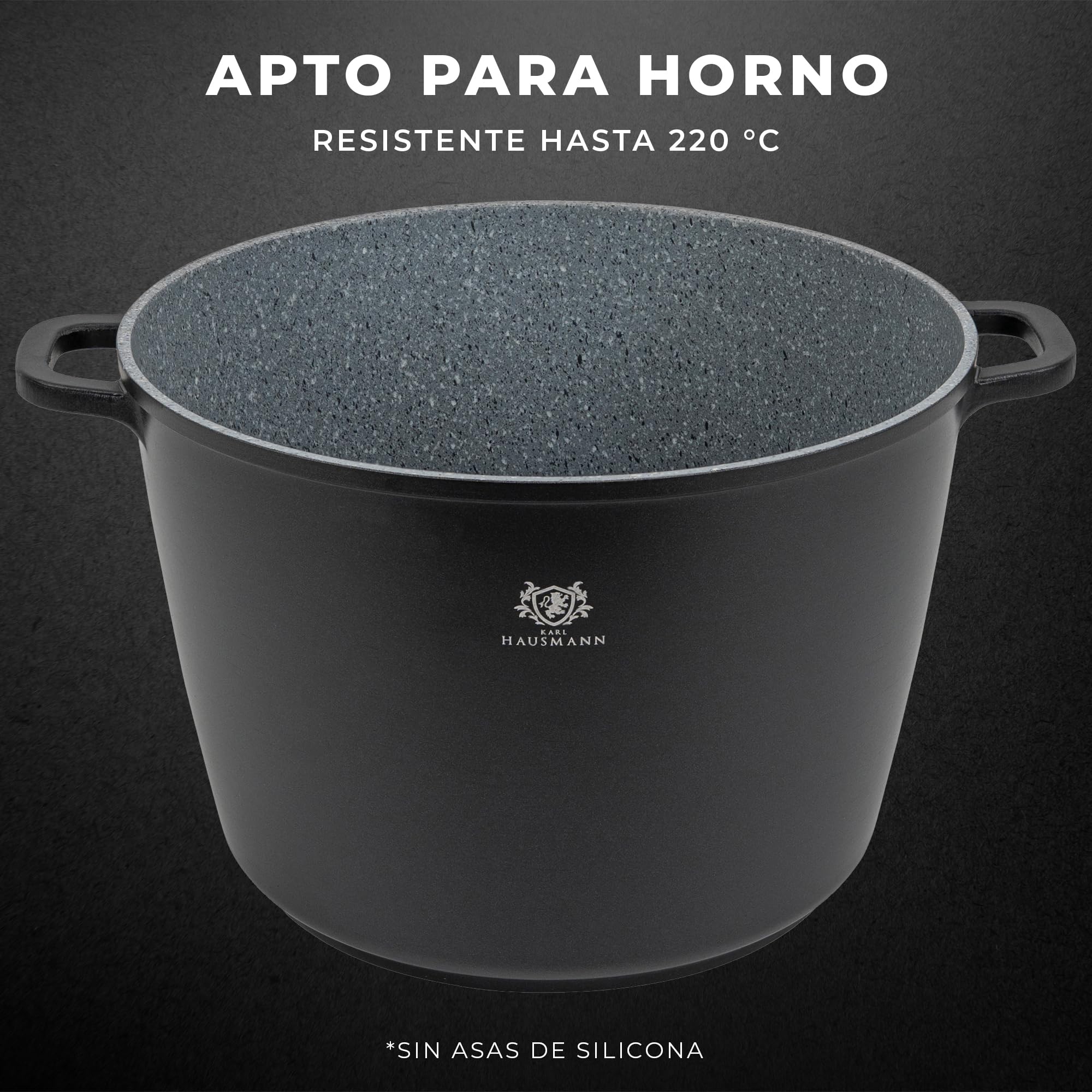 KARL HAUSMANN Olla Antiadherente 28 cm 10 L, Inducción, Negro