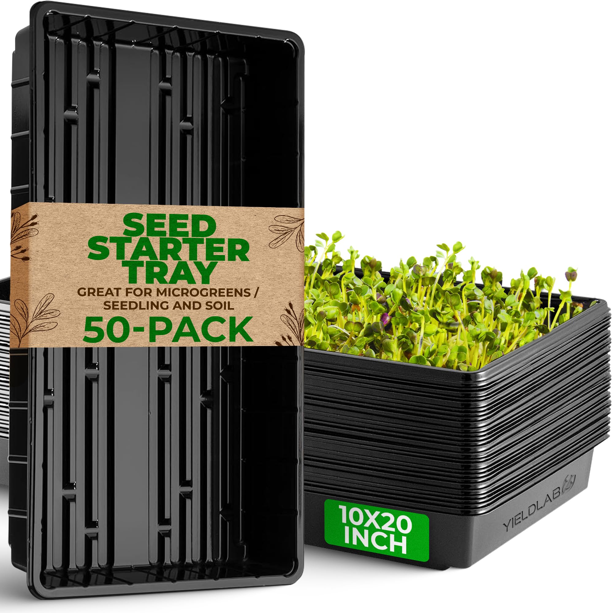 10x20 Inch Black Plastic 50 Pack Plant Propagation Tray No Holes