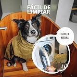 Ver la foto 6