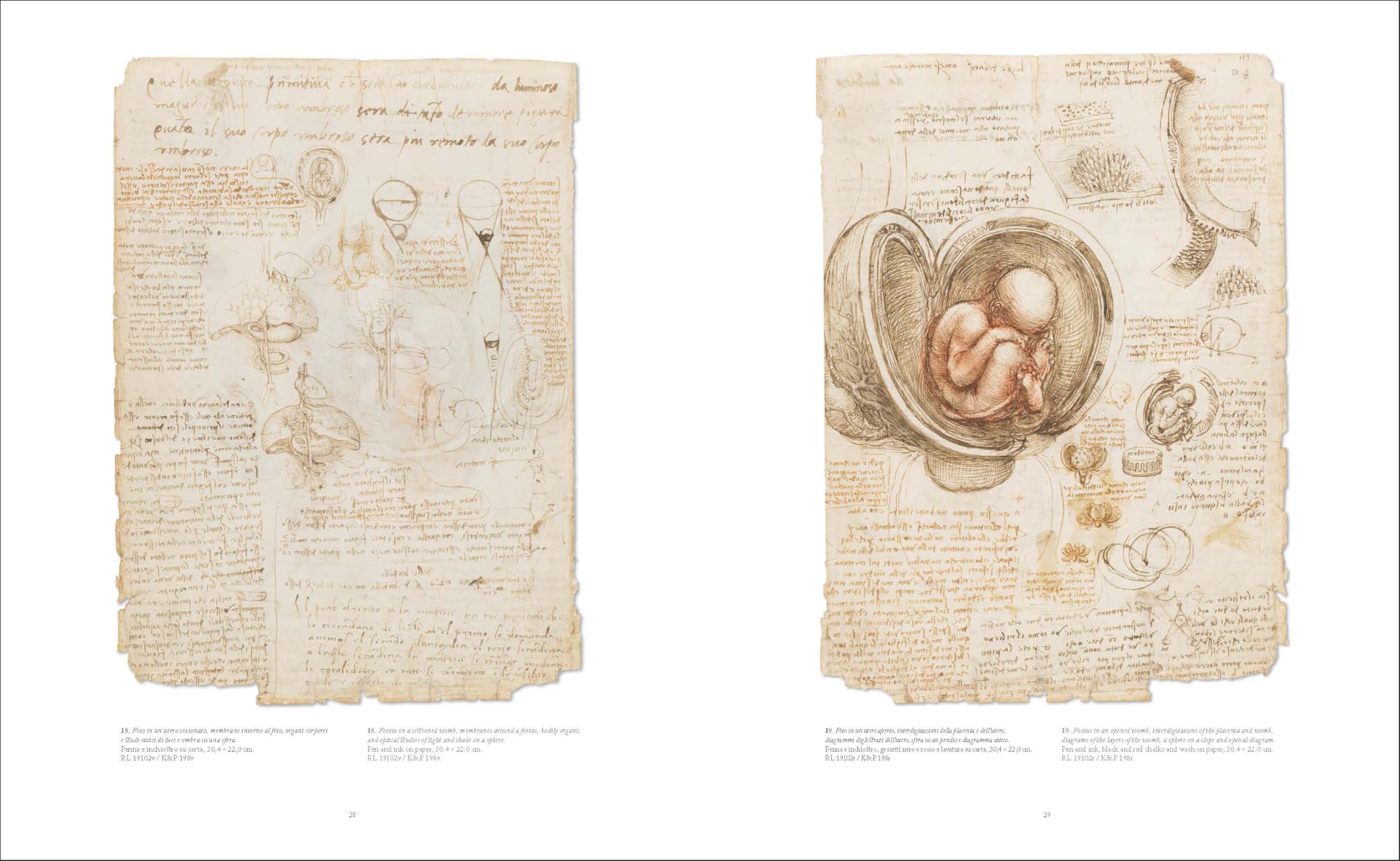 Leonardo da Vinci. Atlas anatomicus. The Royal Collection Windsor. Ediz. italiana e inglese