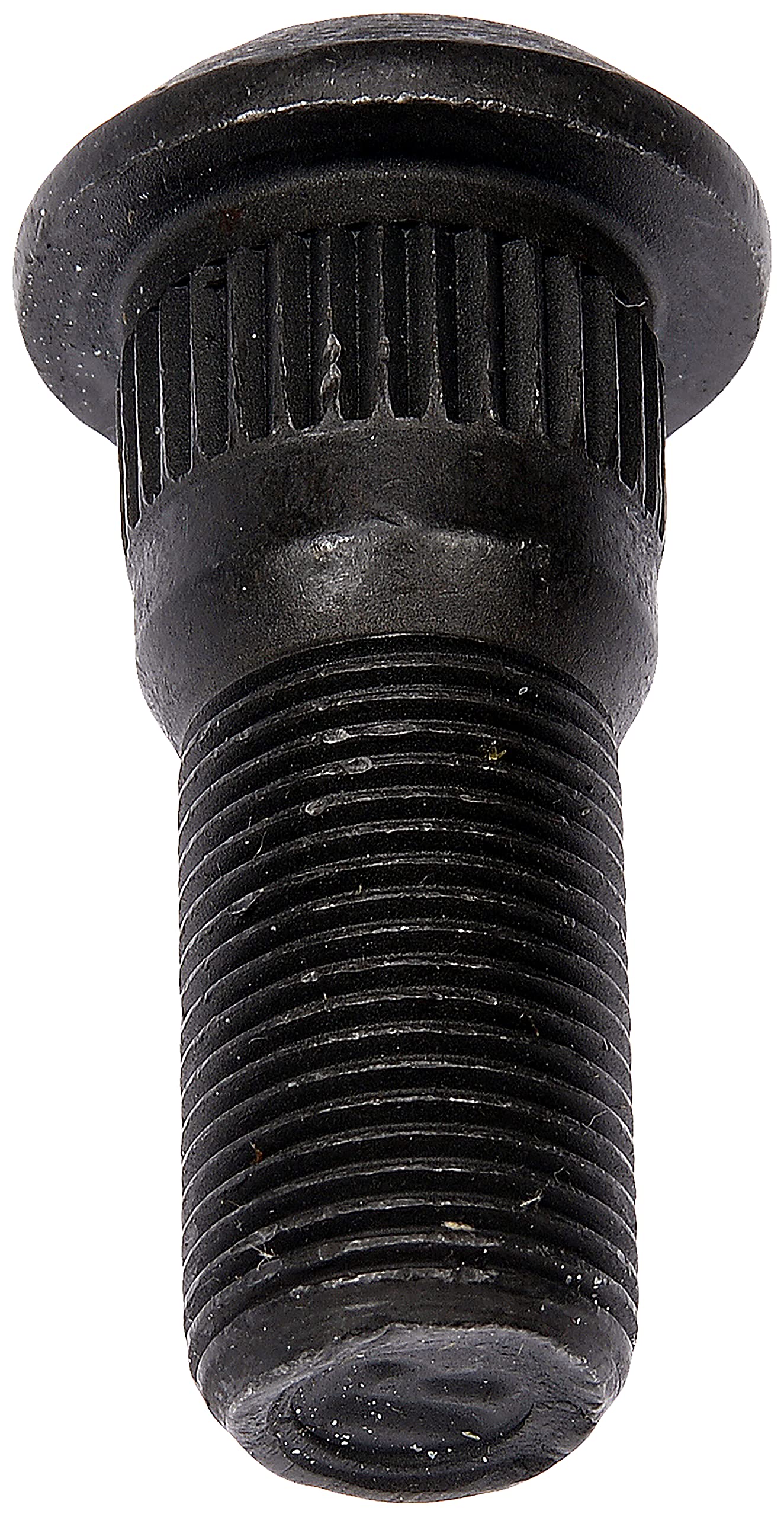 Amazon.com: Dorman 610-0256.5 3/4 in.- 16 Wedge Head Stud- 0.784