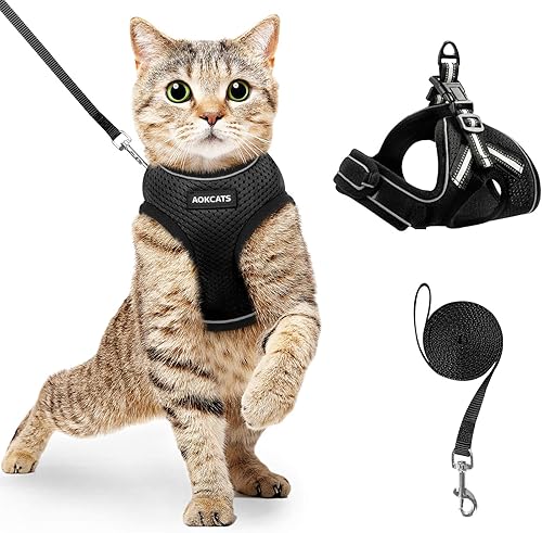 Mieux Notes Dans Harnais Pour Chats Et Commentaires Utiles Des Clients Amazon Fr Mieux Notes Dans Harnais Pour Chats Et Commentaires Utiles Des Clients Amazon Fr