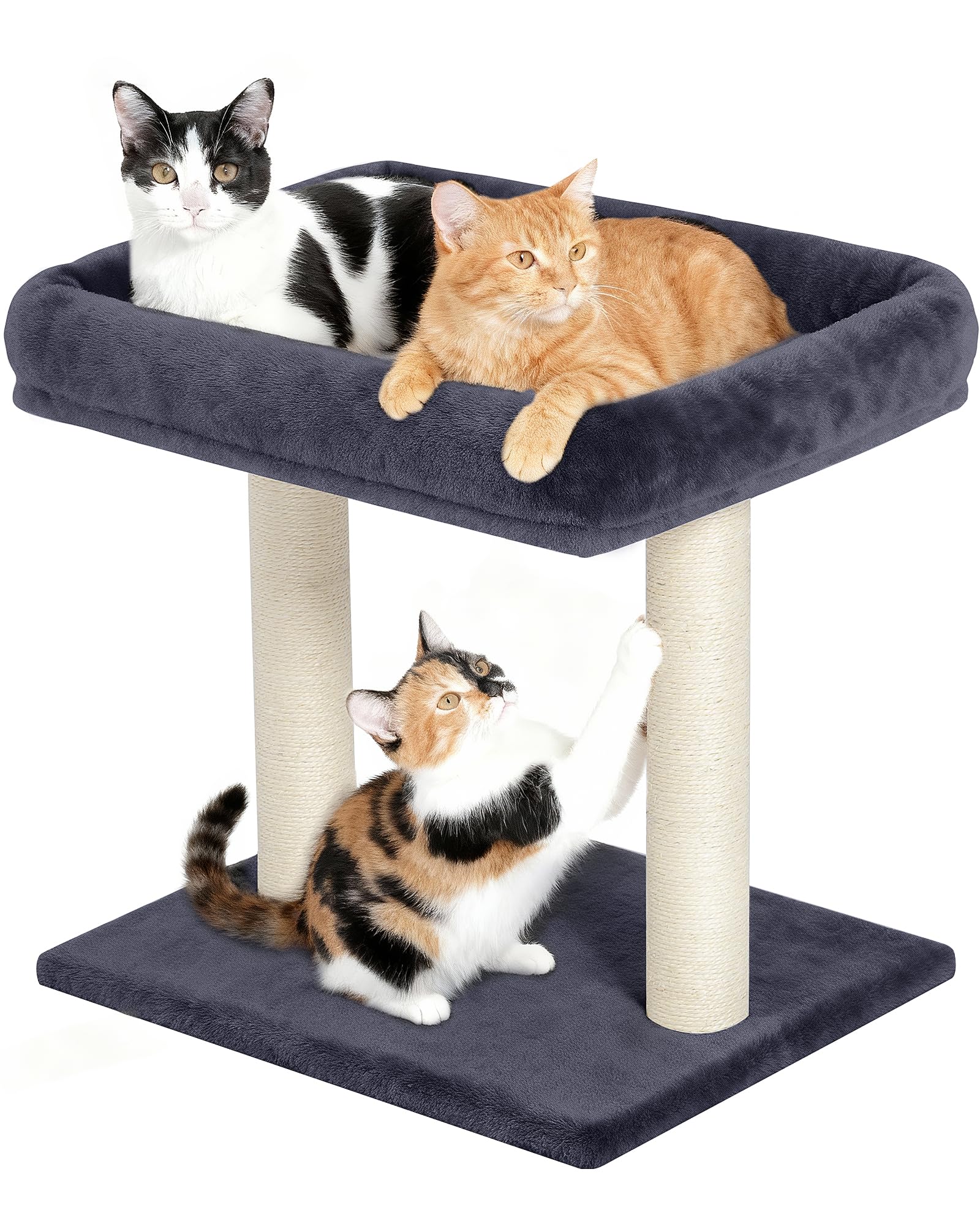 Arbre à chat avec grand perchoir lit amovible pour chat d'intérieur, petite tour et griffoir sisal