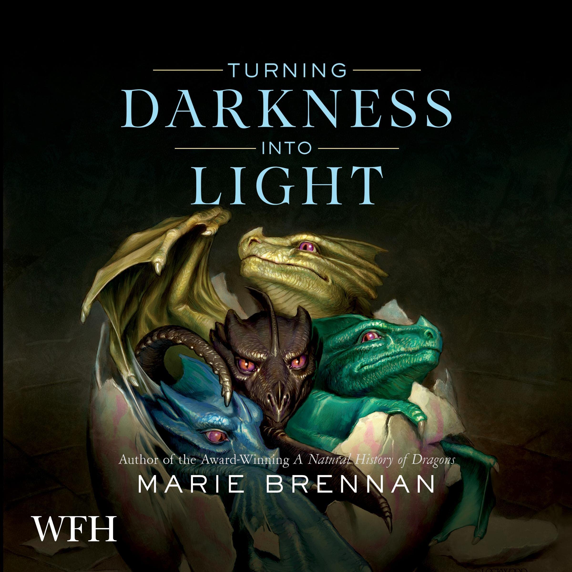 Cover art for Turning Darkness into Light