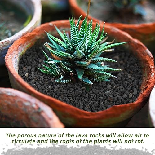 Miniatura 3 de Rocas de lava negras de 2.4 libras para plantas, suelo de roca volcánica hortícola de lava para drenaje de plantas de paisajismo, pequeña grava de