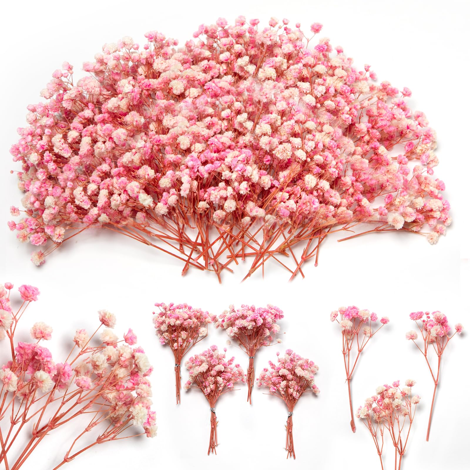 1500+ Mini Pink Dried Babys Breath Flowers, 50pcs Baby Breath Bouquet, 6'' Natural Gypsophila Bulk, Dried Flowers for Gifts, DIY Crafts, Wedding Decor, Card Making, Vase Filler, Wreath Floral (4000)