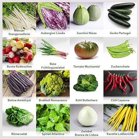 Gartengemüse Pflanzen Samen Set | Saatgut und Anzuchtset mit 16 Gemüse Sorten und 445 Pflanzensamen aus Portugal | 100% Natur Saat (Keine Chemie/künstliche Wachstums-Helfer)