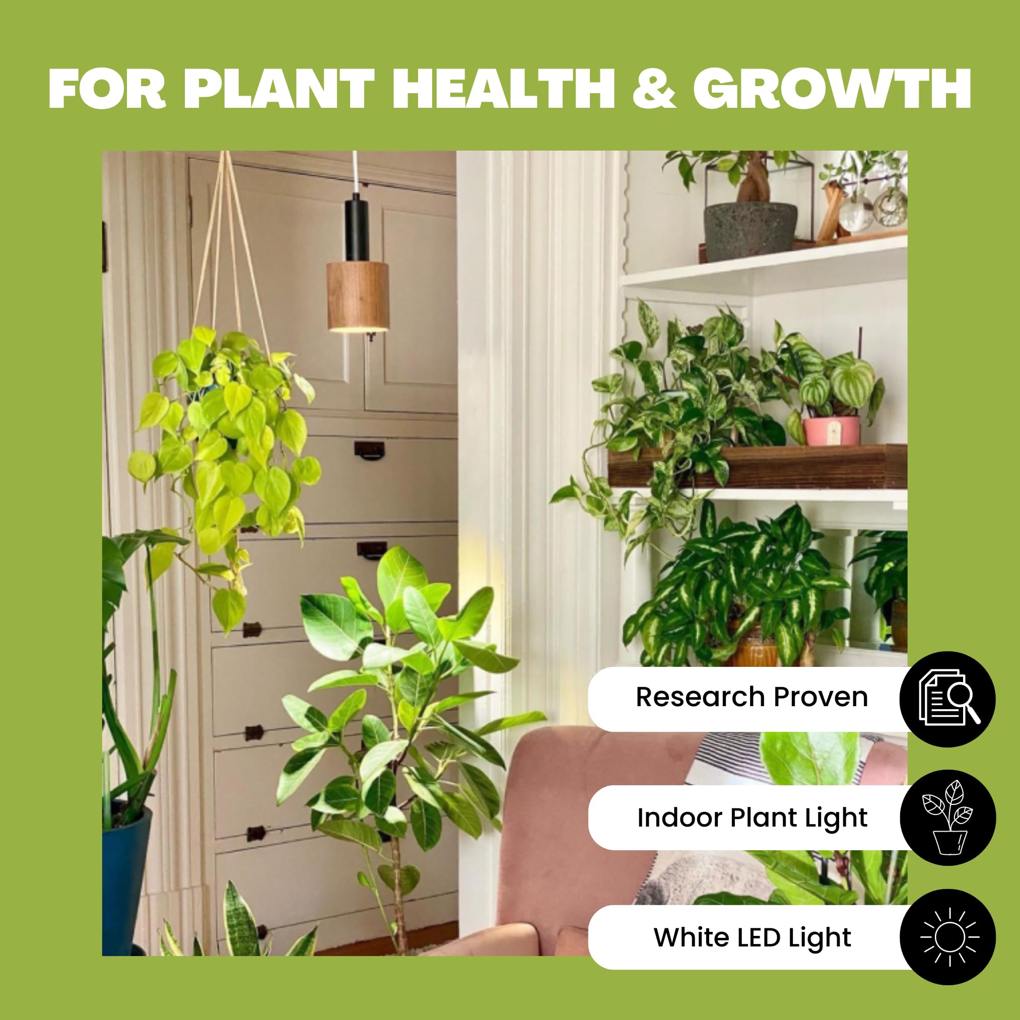 indoor plant box 48X24x30 Inch Raised Garden Bed With Legs, Elevated Wooden Planter Box For Outdoor Plants Flowers Fruits Vegetable Herb Growing August Grove Color: