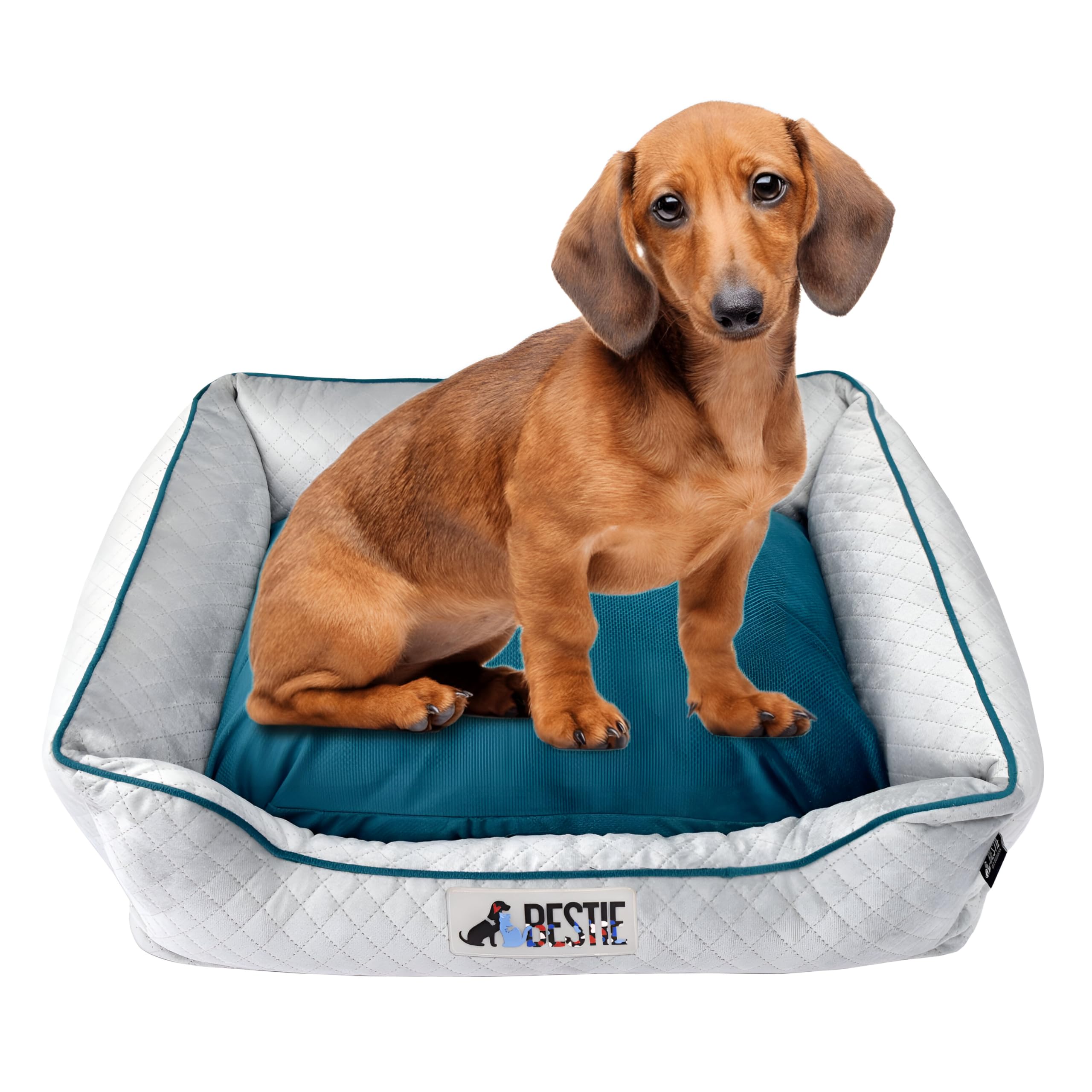 Bestie Medium Size Lounger Dog Bed Velvet 26 X 20 X 7 Inches for Dogs, Cats, Puppy, Rabbit with Removable Cover- Luxury Sofa Style, Non-Slip Bottom, Washable, Indoor/Outdoor- Grey (B0C6MS98S8) Amazon Price History, Amazon Price Tracker