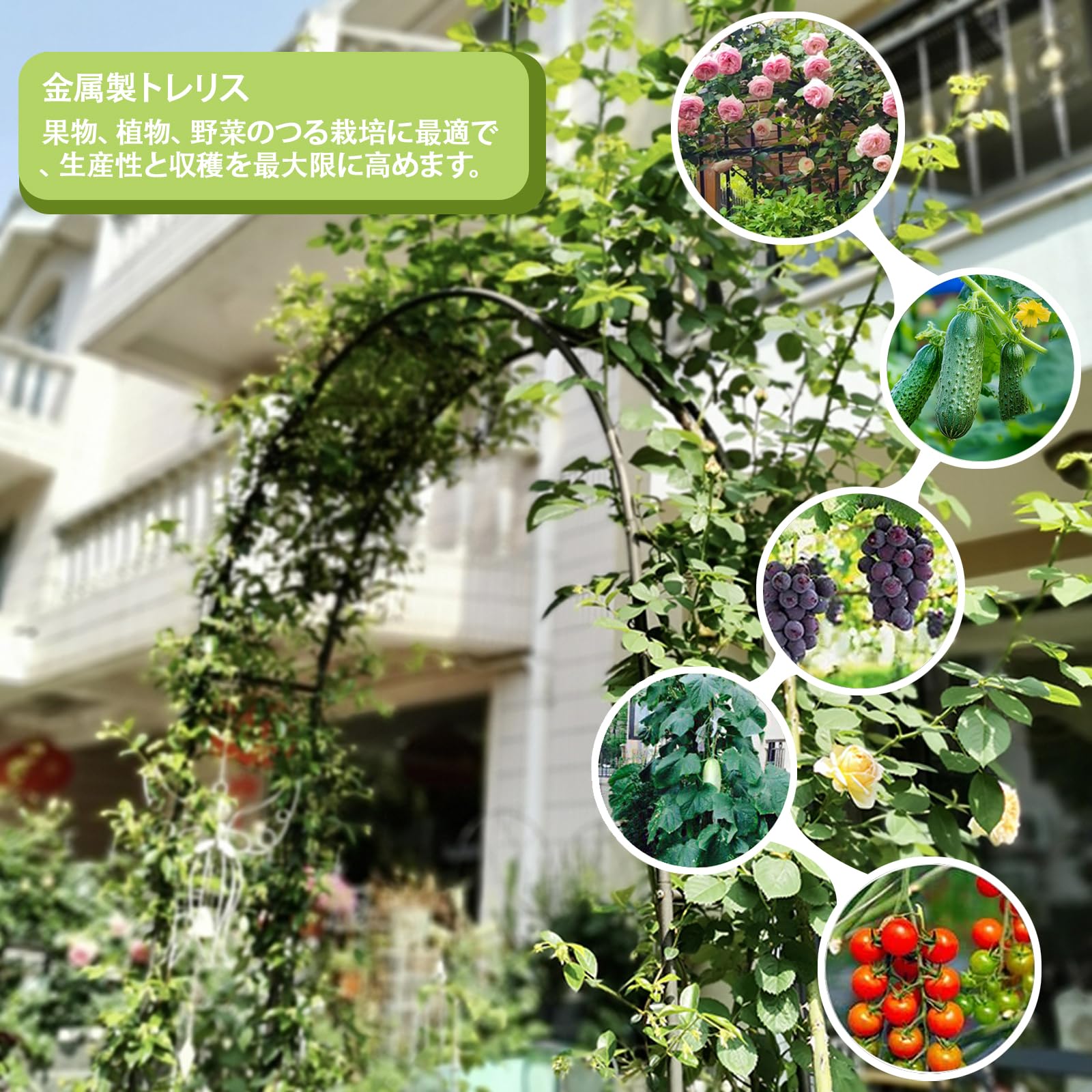 Amazon.co.jp: ガーデンアーチ ステンレス 頑丈 つる物に使用され