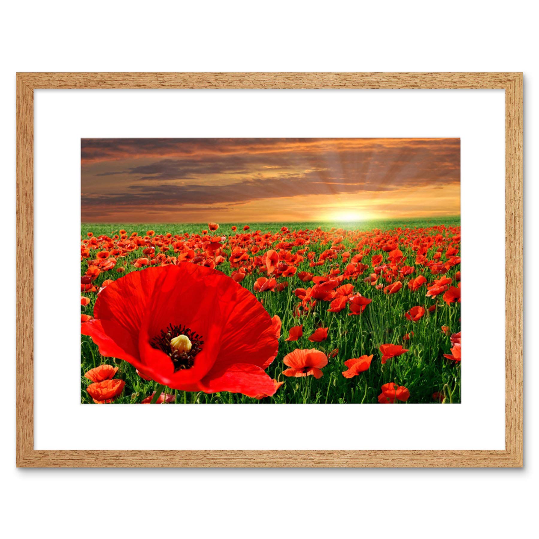 Wee Blue Coo Photo Landscape Poppy Field Sun Rise Red Flower Beautiful Framed Wall Art Print