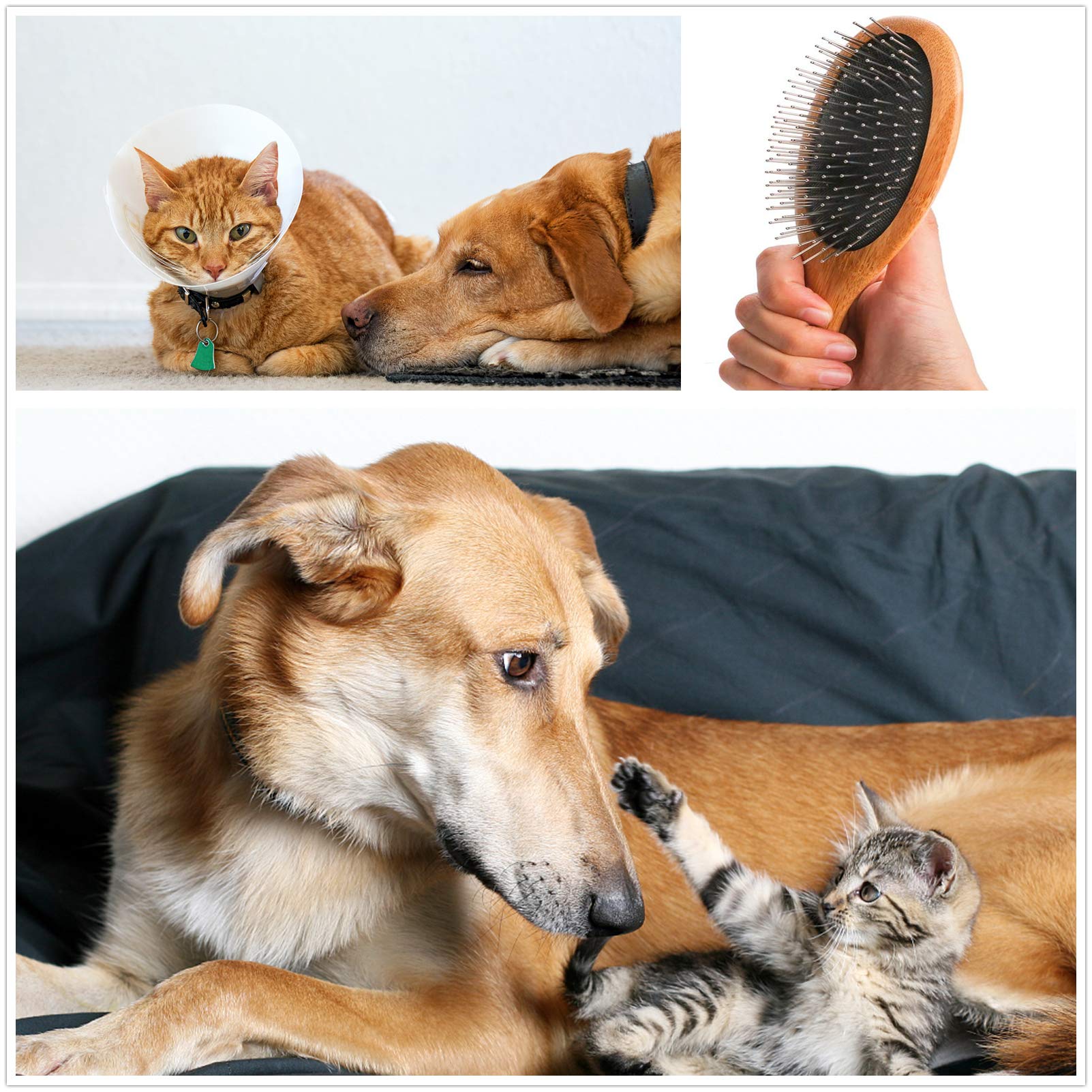 ClumsyPets Szczotka do pielęgnacji psów i kotów Szczotka do pielęgnacji zwierząt domowych