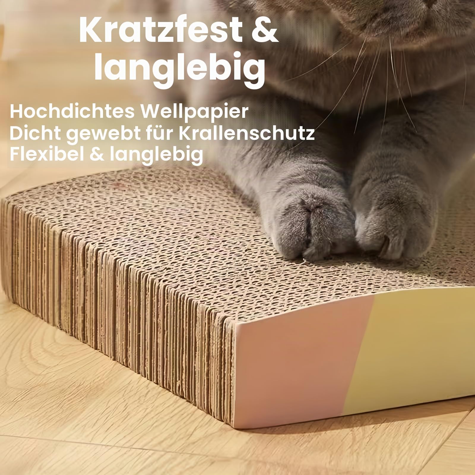 Edelstahl Katzentoilette 2er Set mit hohem Rand | geruchsneutral & leicht zu reinigen | rutschfeste Metallwanne für Katzen und Kleintiere, 50cm×35cm×15cm