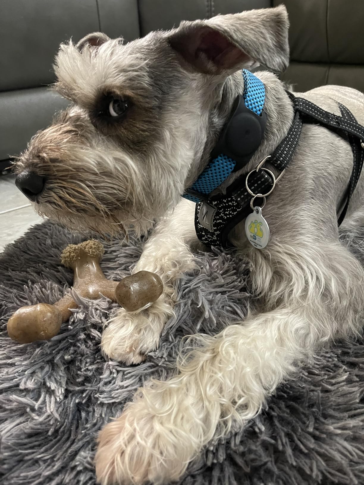 Benebone Wishbone Durable Dog Chew Toy for Aggressive Chewers, Real Bacon, Made in USA, Medium photo review