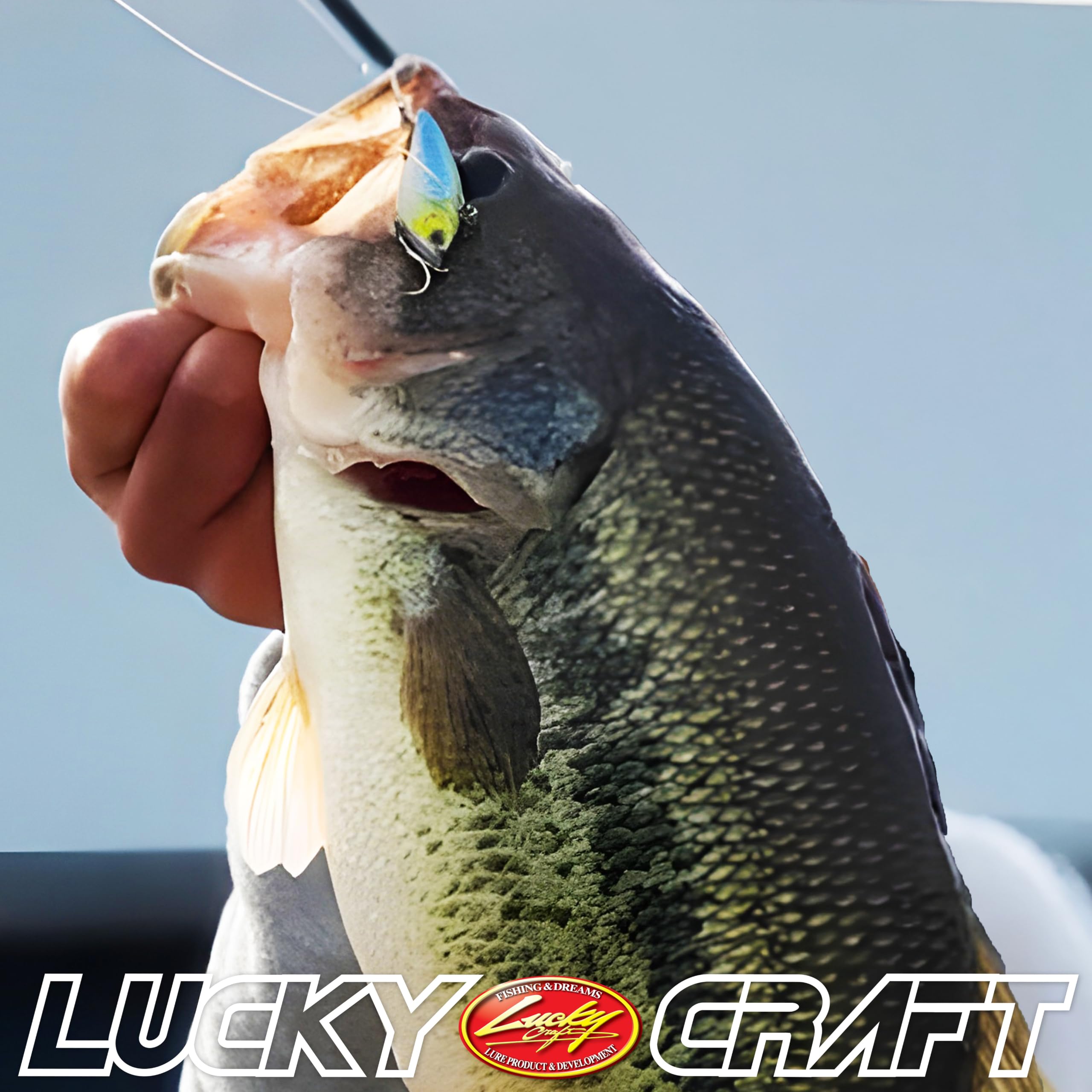 Amazon.co.jp: ラッキークラフト(LUCKY CRAFT) ベビーバイブ50SP