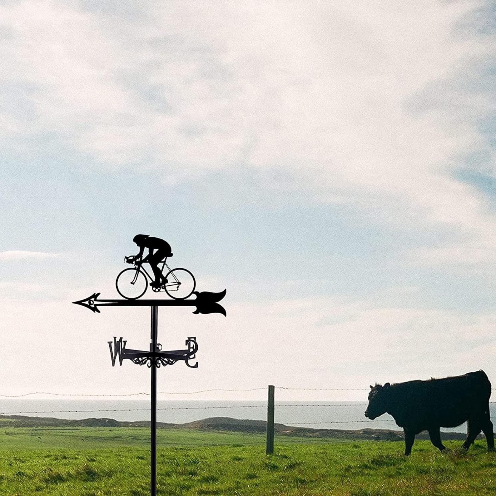 Girouette Pour Jardin, Outil De Mesure En Métal, Indicateur De Direction Du Vent, Girouette De Ferme, Décoration De Toit Pour Jardin, Terrasse, Cour (chien Mignon