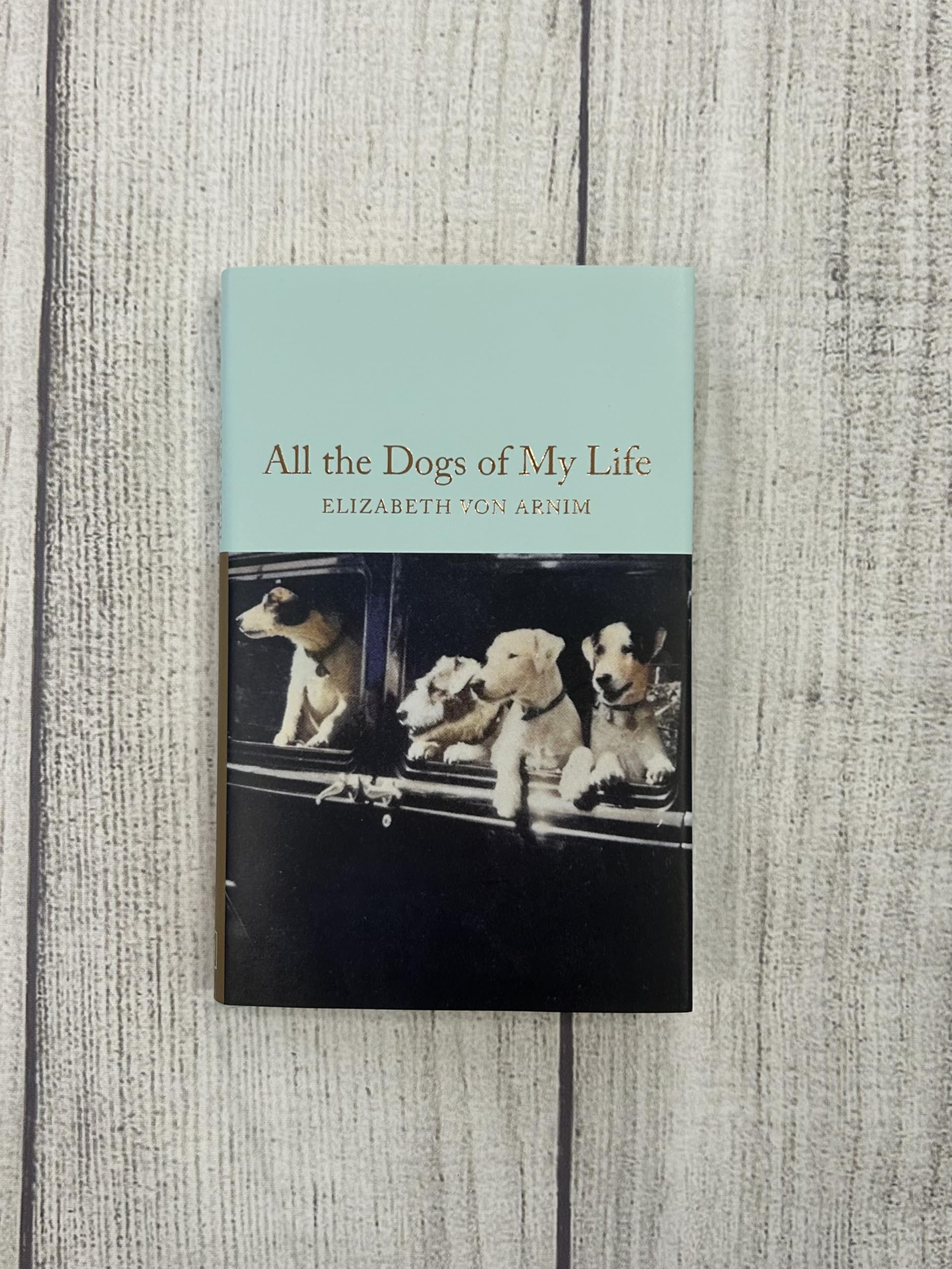 All the Dogs of My Life