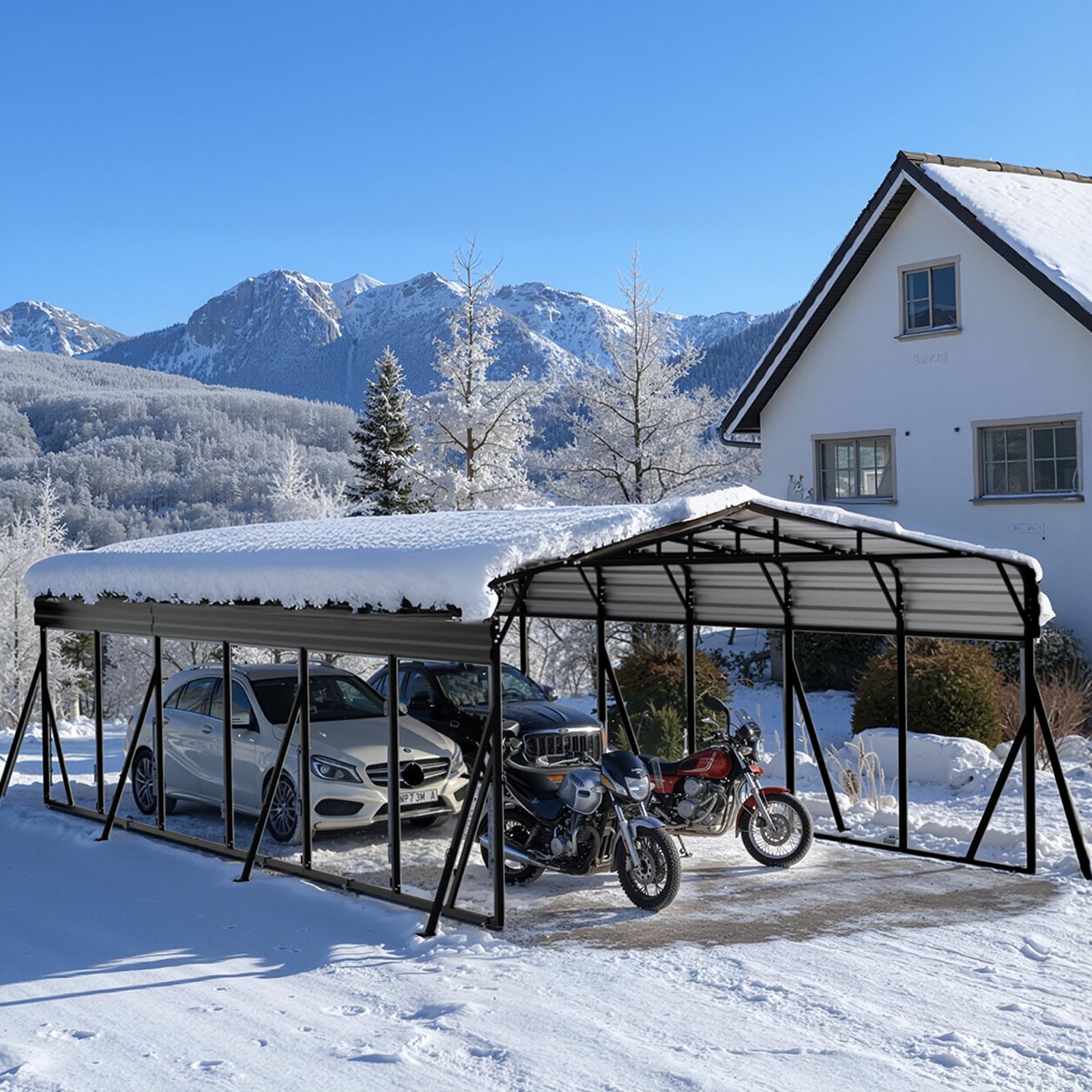 WUKHG 20x30 Metal Carport