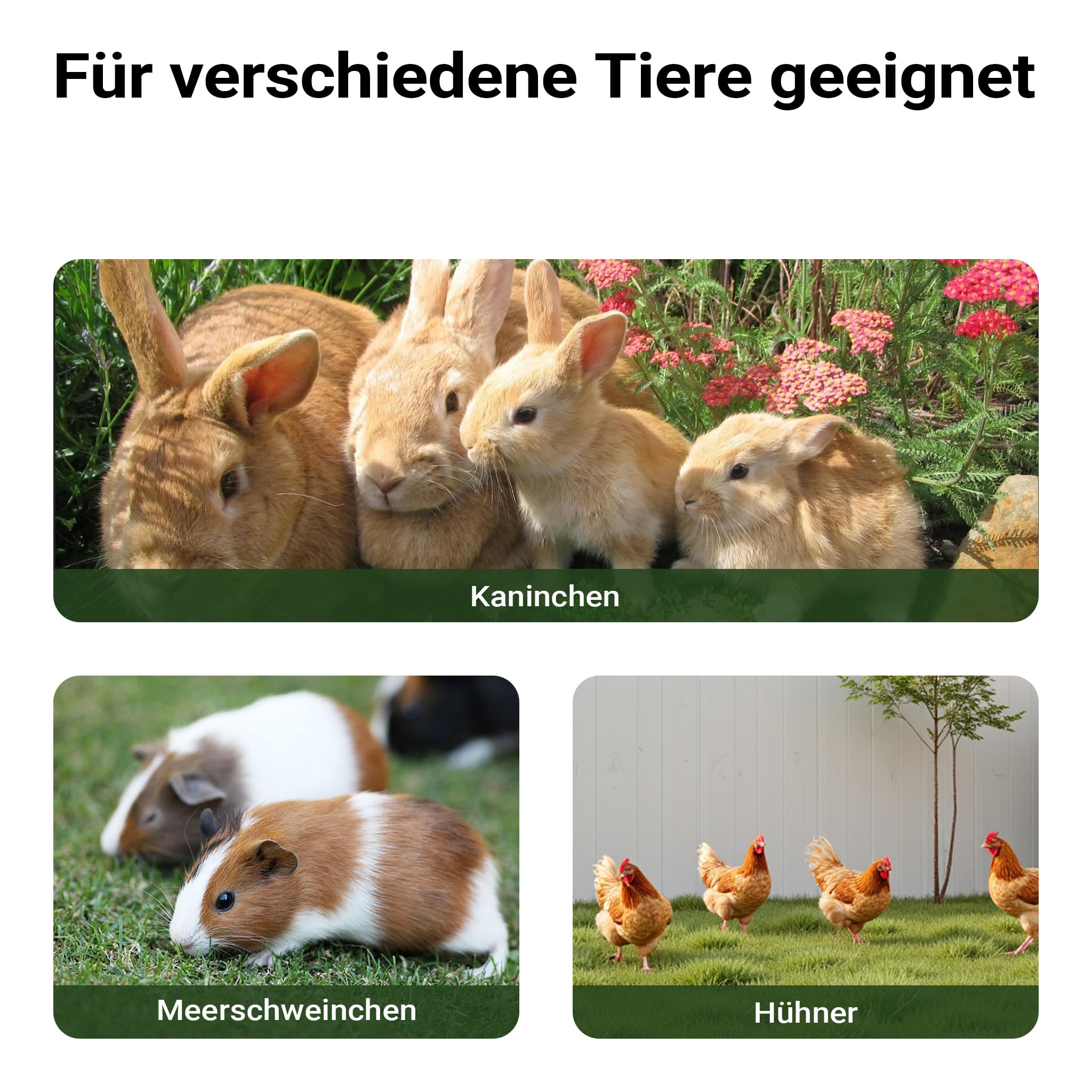 Wiltec XXL Hasenstall 1560 x 520 x 680 mm mit Freilaufgehege und erhöhtem Unterschlupf aus Fichtenholz, Kaninchenkäfig mit 2 Etagen, Kleintierstall