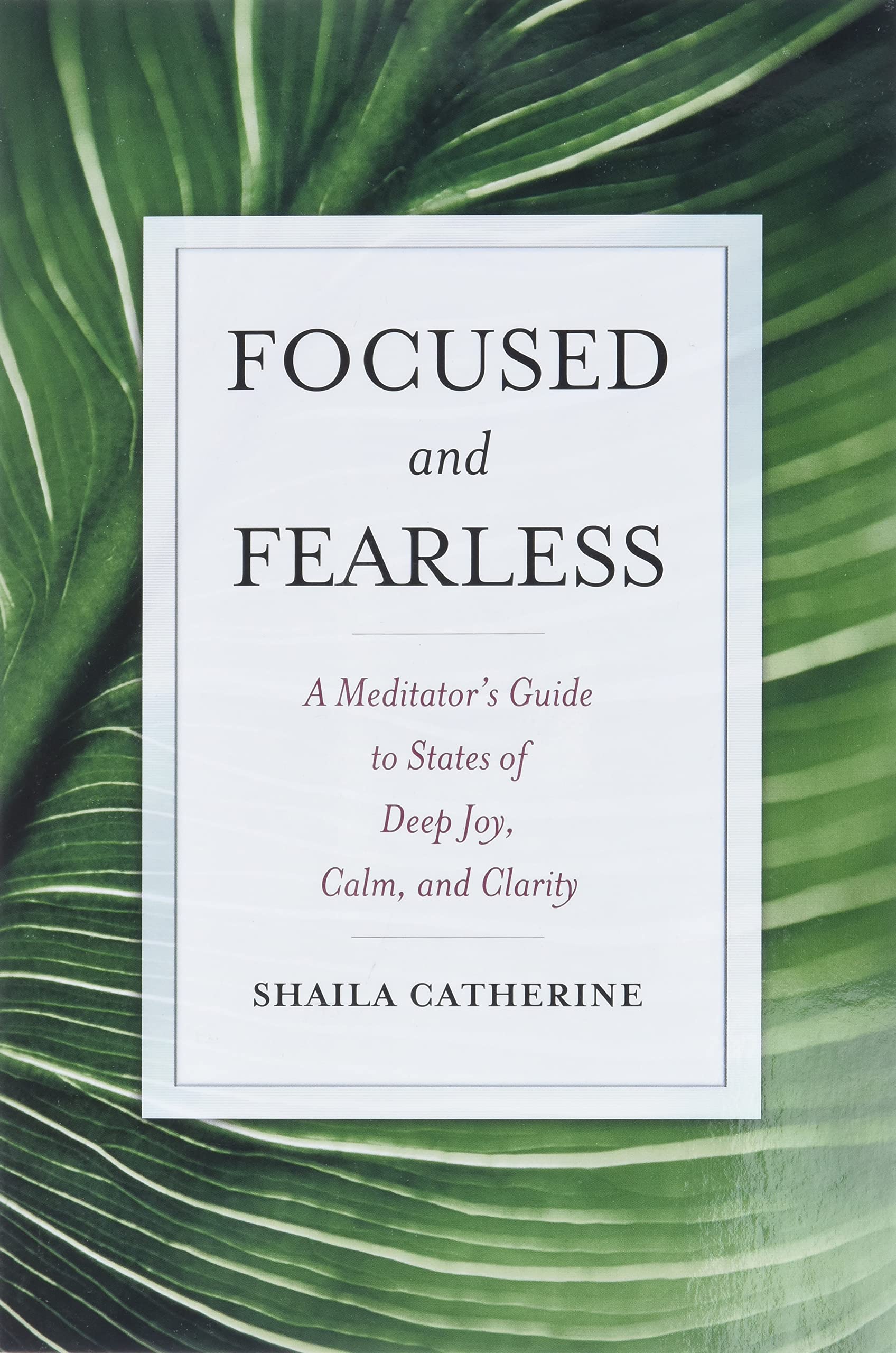 Focused and Fearless: A Meditator's Guide to States of Deep Joy, Calm, and Clarity cover