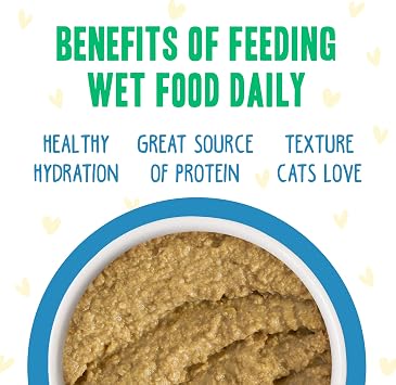 Weruva B.F.F. Play - Best Feline Friend Paté Lovers, Aw Yeah!, Chicken Checkmate with Chicken, 5.5oz Can (Pack of 8)