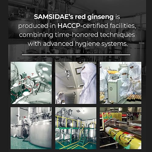 Miniatura 5 de SAMSIDAE Panax Ginseng rojo coreano con té de jengibre, caja de 50 bolsas, apoya la circulación, la energía, la inmunidad y la digestión, sabor suave