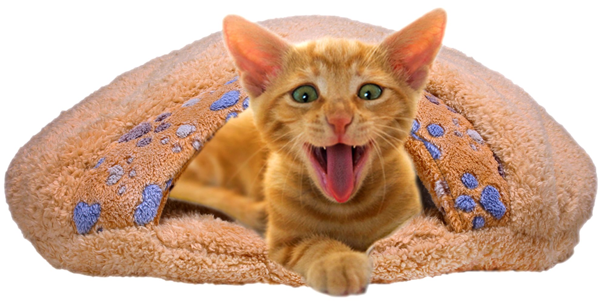 Dog Sleeping Bag Pattern FREE PATTERNS