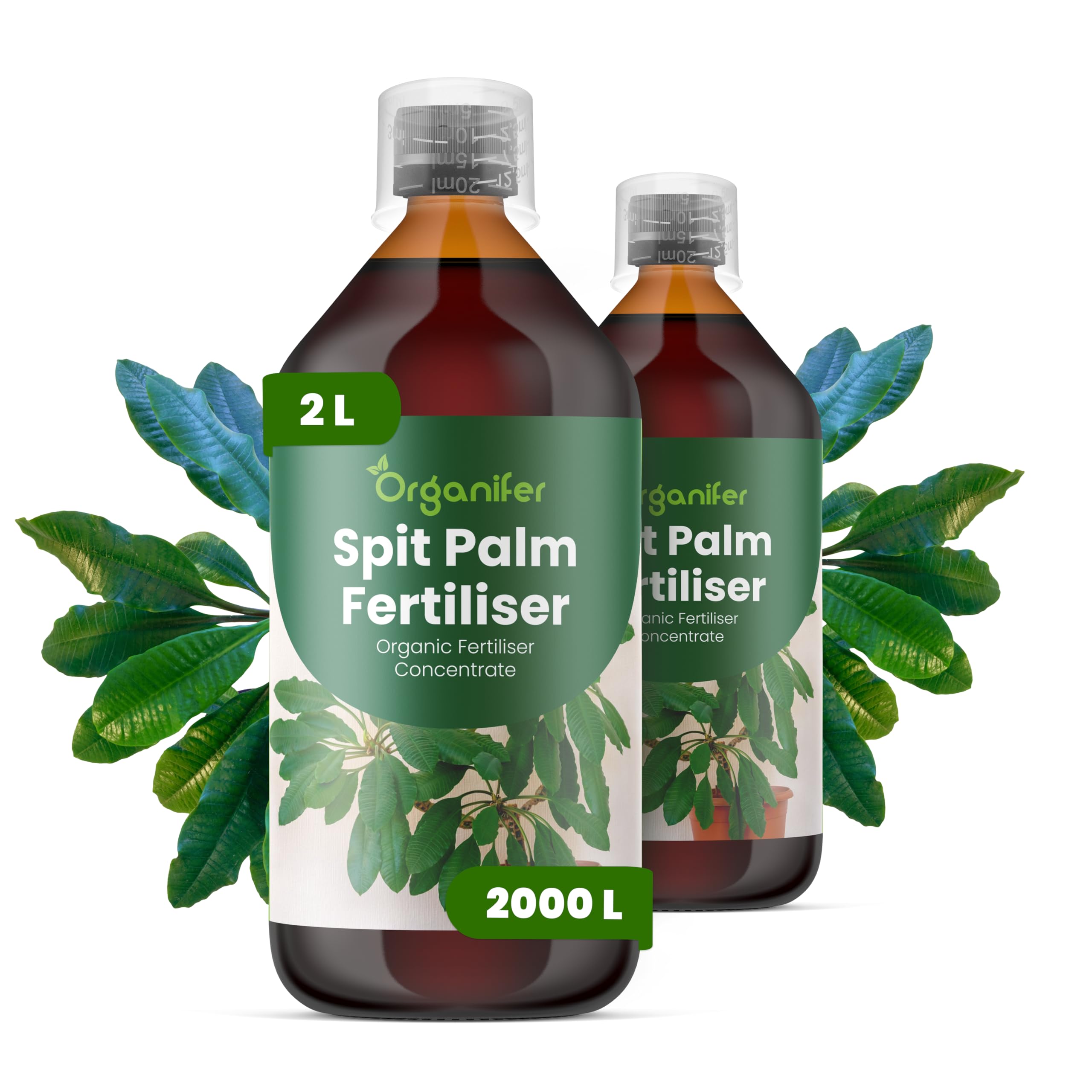 Fertilizante Líquido Para Palma - 2x1L - NPK 2-1-8 | Abono Para Hojas Saludables Y Crecimiento Fuerte - Refuerza Raíces Y Vitalidad - Organifer