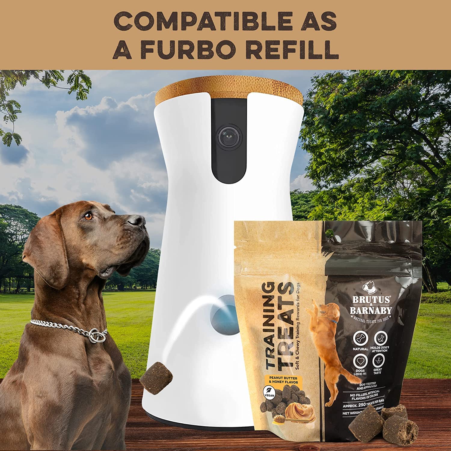 Low Calorie Dog Treats Weight Gain The Best High-Value Treats