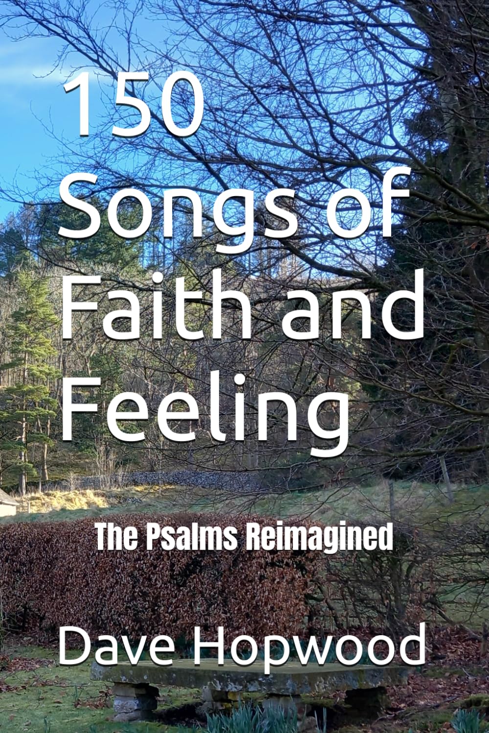 150 Songs of Faith and Feeling: The Psalms Reimagined