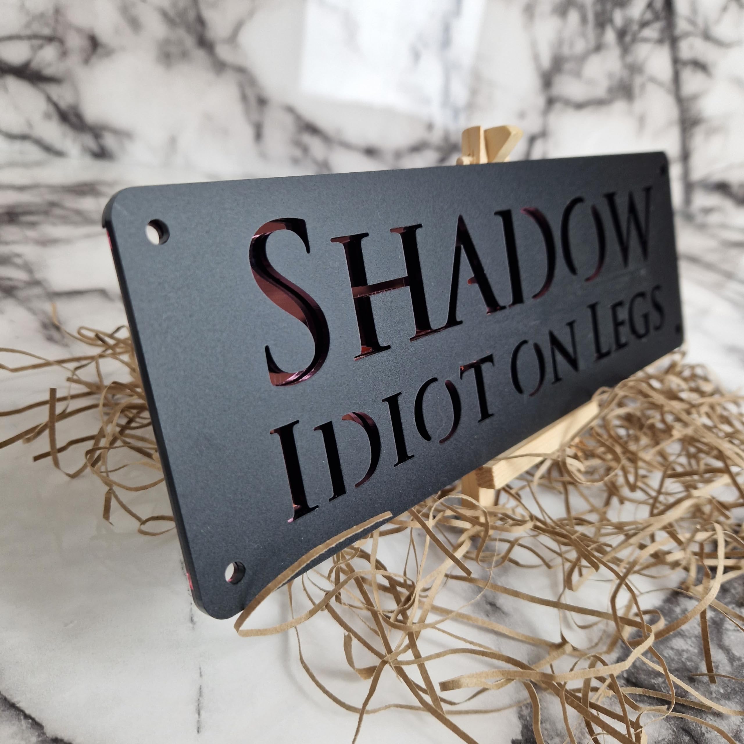 Horse stable Pony laser cut black mirror personalised name door plate (Logo 9- No image)
