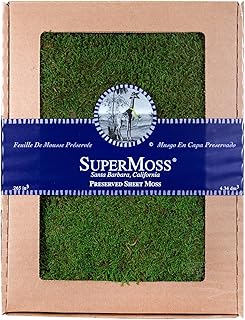 SuperMoss (21485) Sheet Moss – Flat Moss for Plants, Terrariums, Wedding Decor & Crafts, Safe, Non-Toxic, Long-Lasting Green Moss for Indoor Plants, Vivariums & Green Wall Art, 175 Cu. in., Preserved