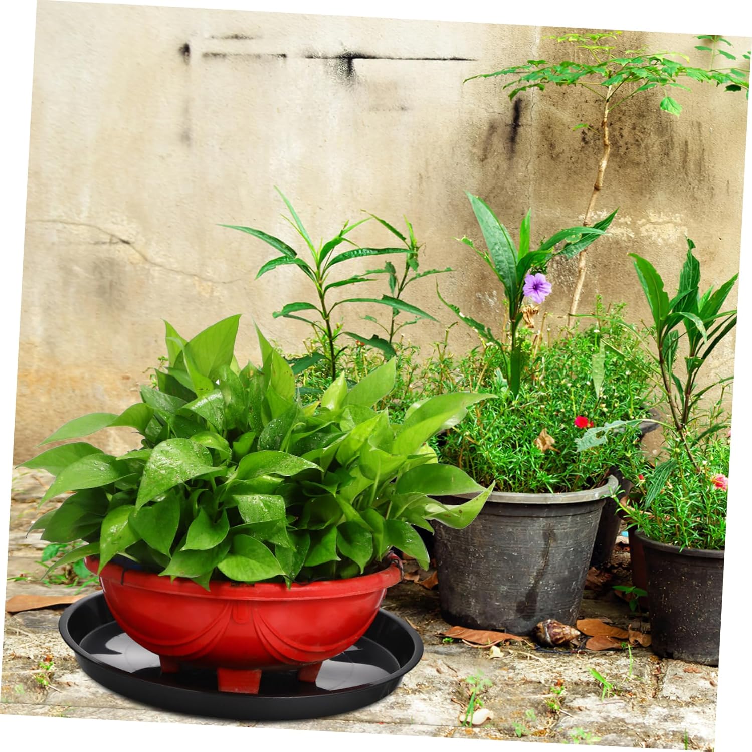 10pcs Plant Pot Trays Sturdy Flower Pot Saucers for Indoor and Outdoor Use for Catching Excess Water and Protecting