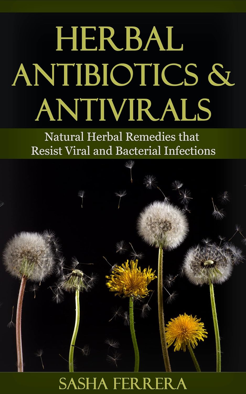 Herbal Antibiotics and Antivirals Natural Herbal Remedies