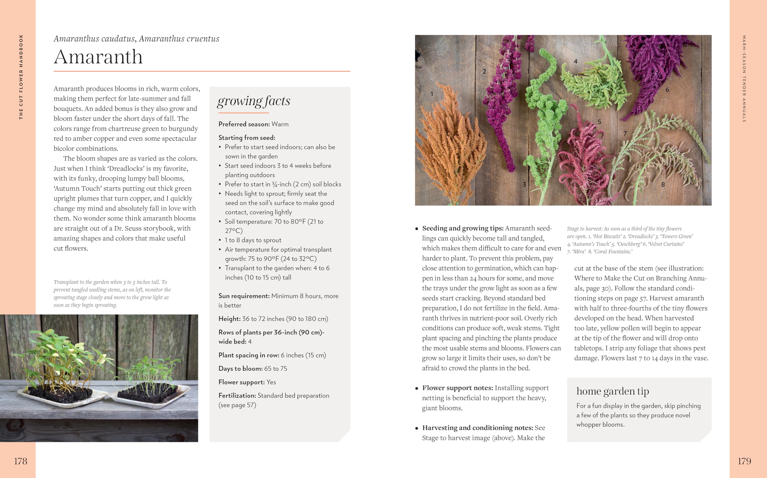 Cut Flower Handbook: Select, Plant, Grow, and Harvest Gorgeous Blooms