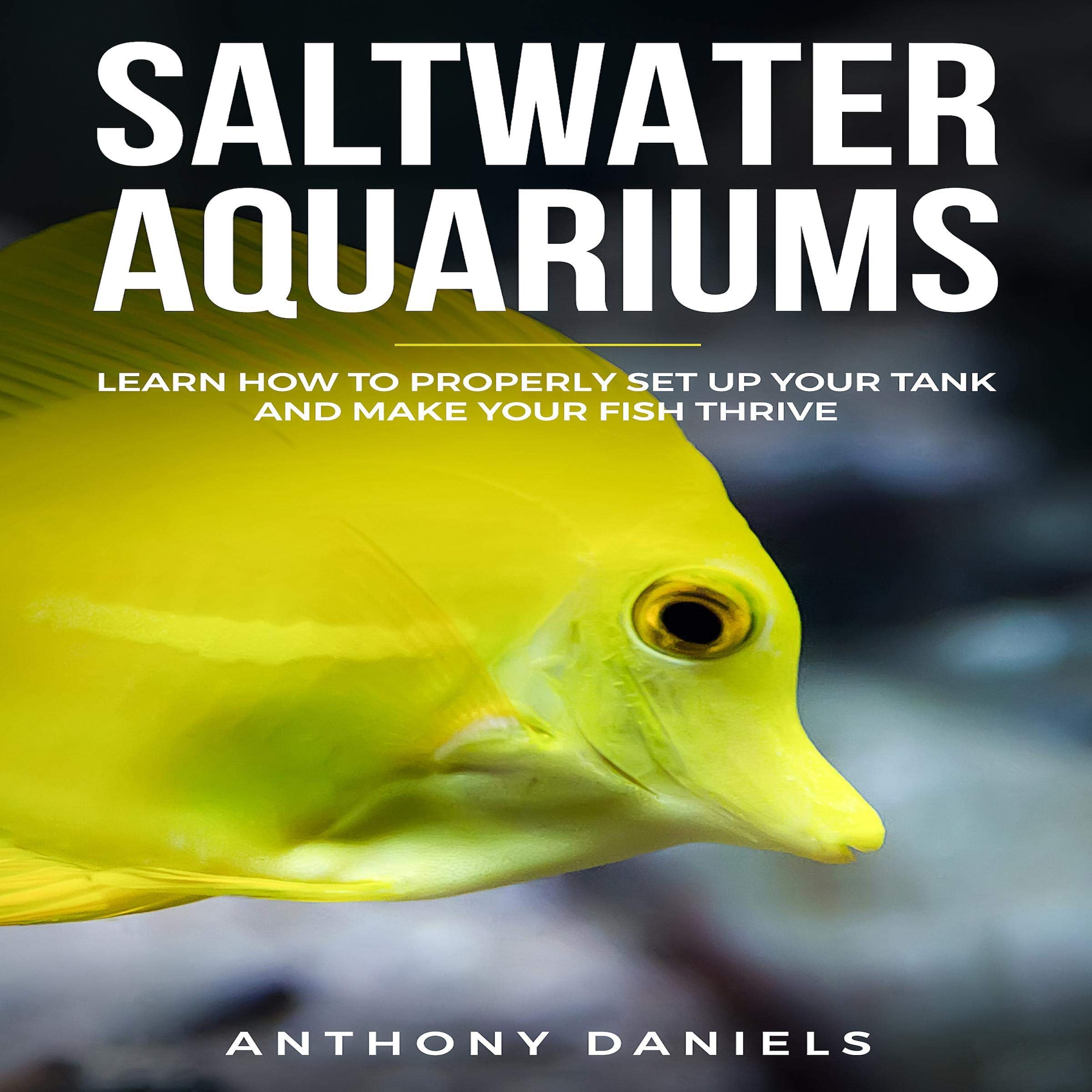 Cover art for Saltwater Aquariums