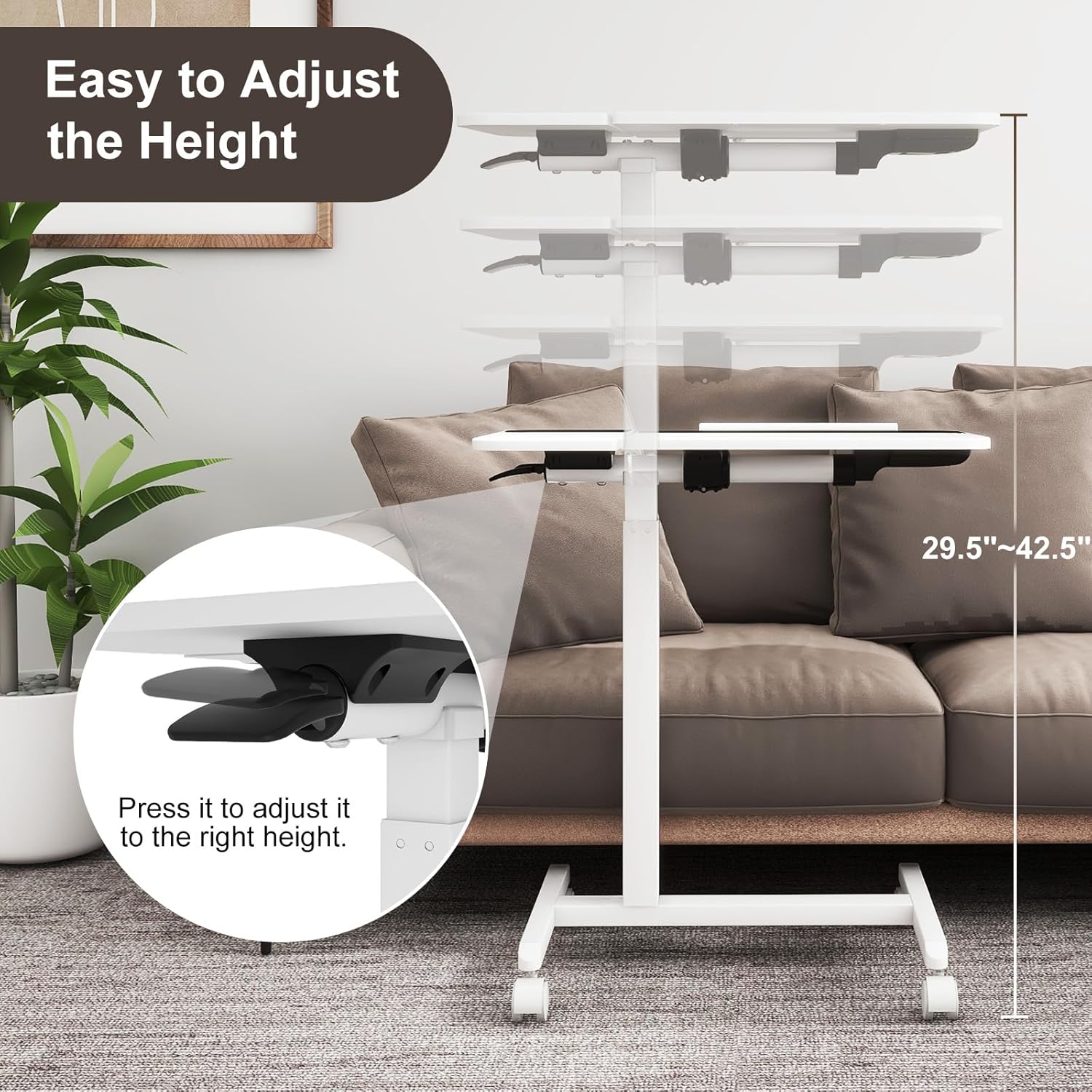 https://m.media-amazon.com/images/I/81buhJcw3mL._AC_SL1500_.jpg