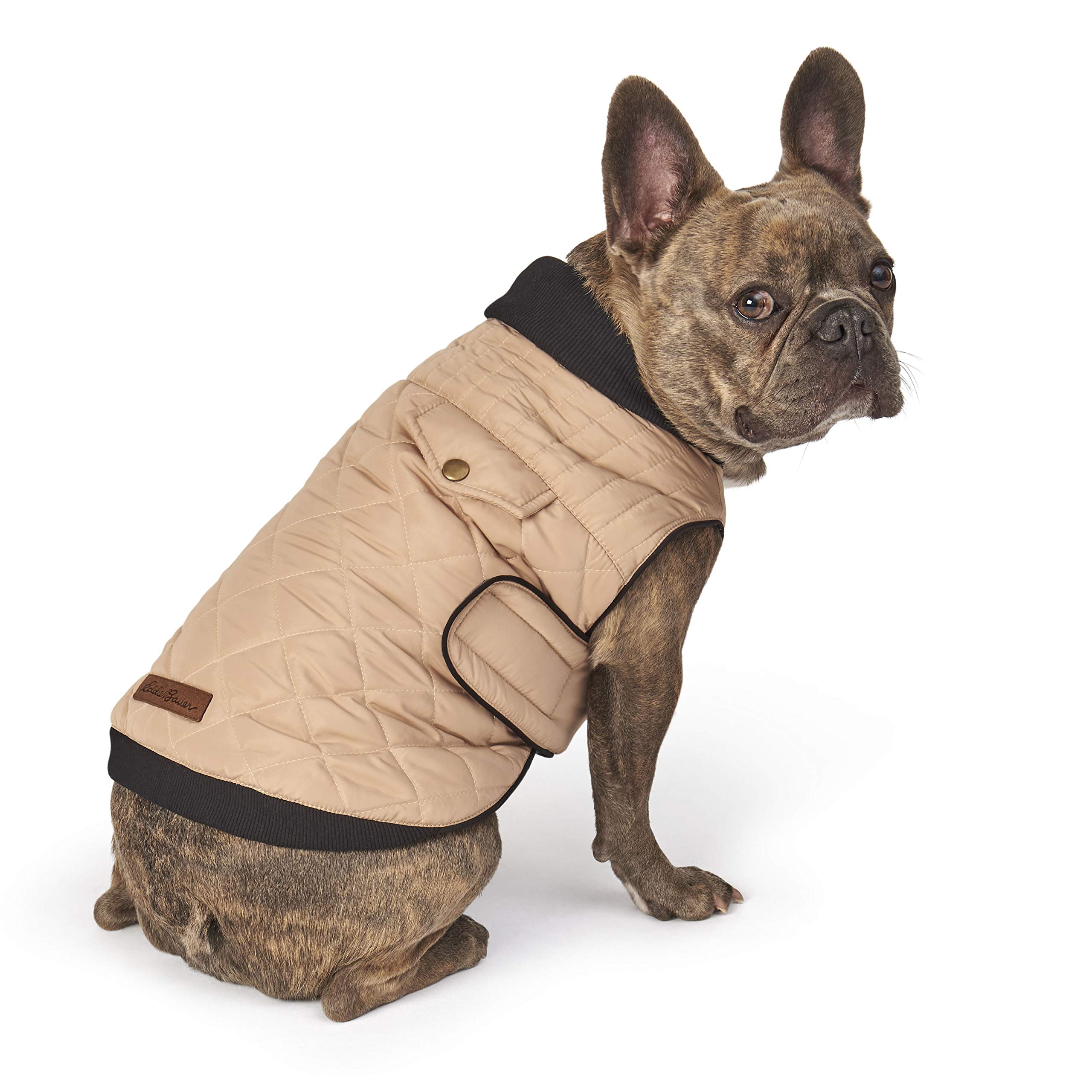 eddie bauer dog jackets