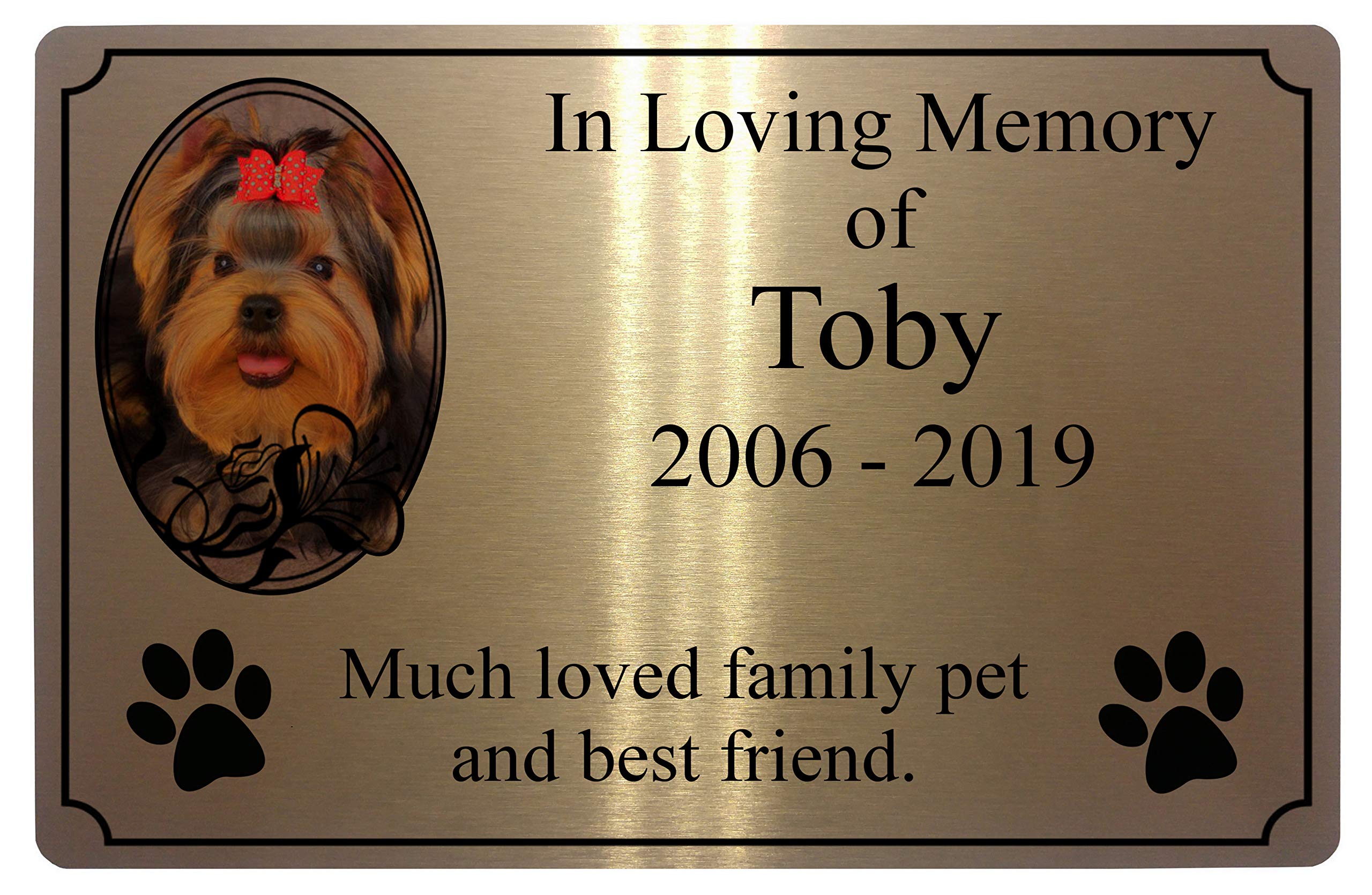 Personalised Memorial Photo Pets Dog, Cat Paw Prints Metal Aluminium Plaque Sign 4 Sizes (20x15cm, Brushed Gold)